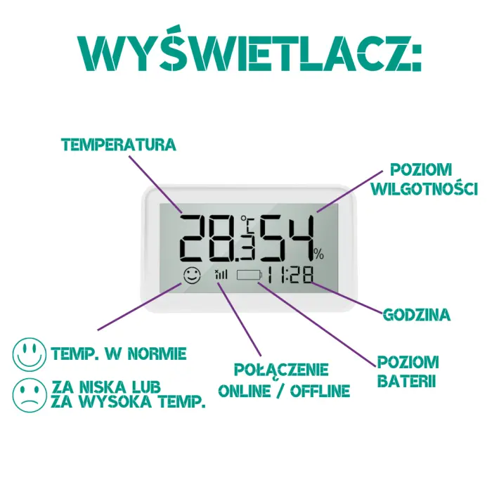 WYŚWIETLACZ